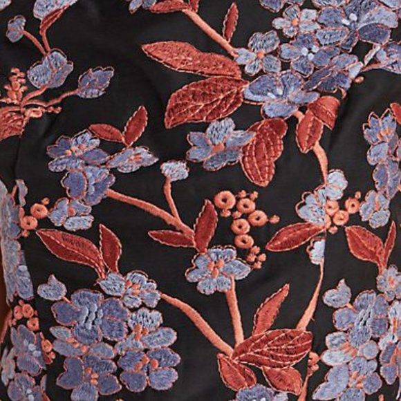 Anthropologie Alessia Embroidered Chiffon Dress - Picture 4 of 4